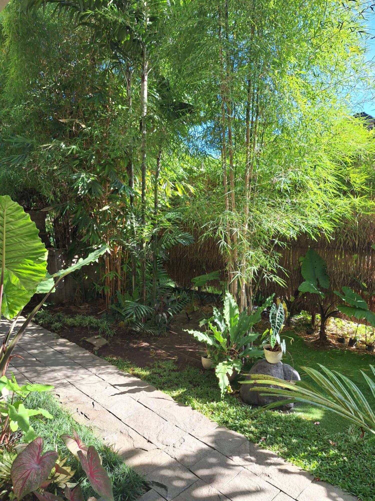 Kasapa Inn Ubud Eksteriør billede
