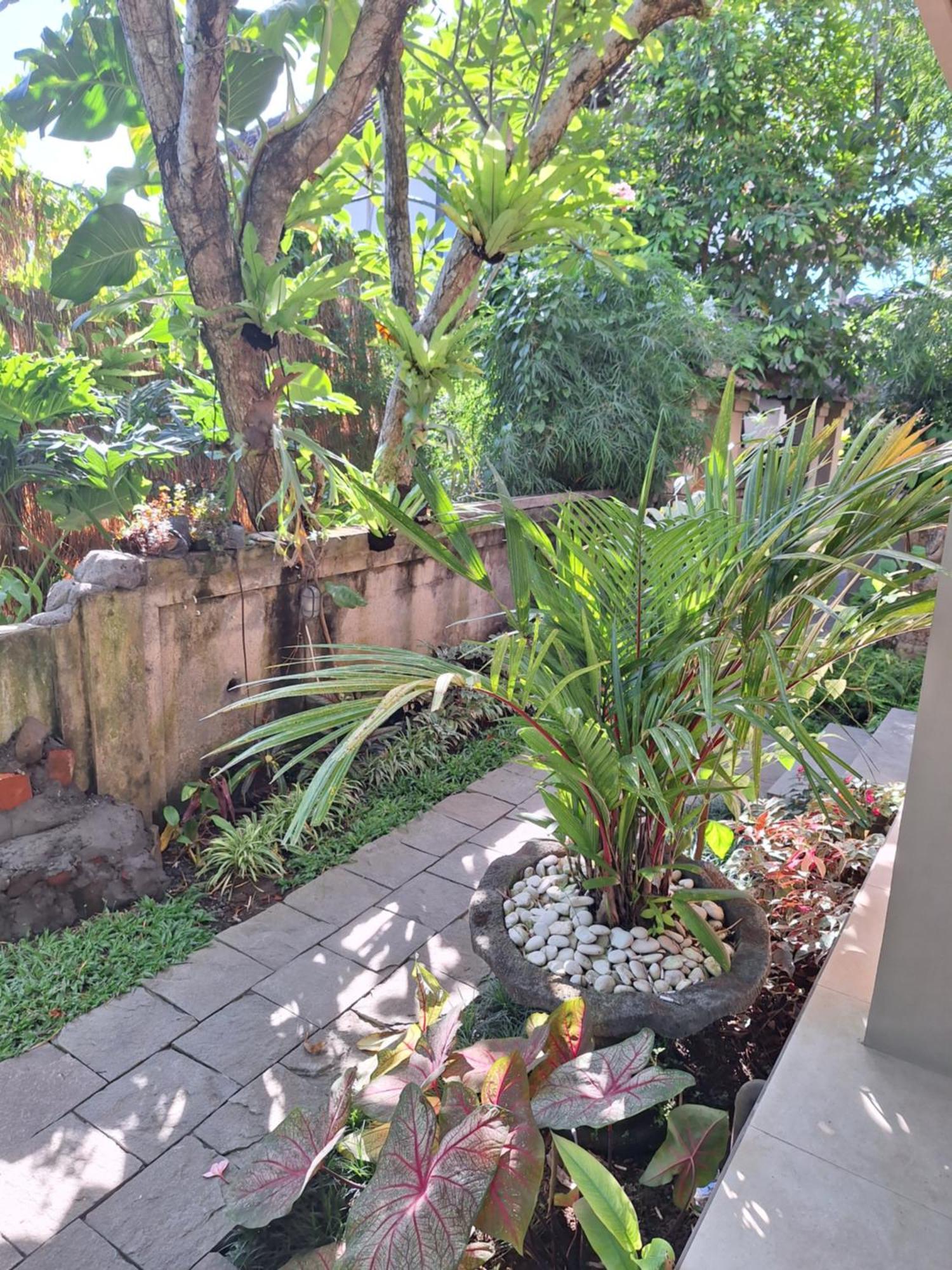 Kasapa Inn Ubud Eksteriør billede