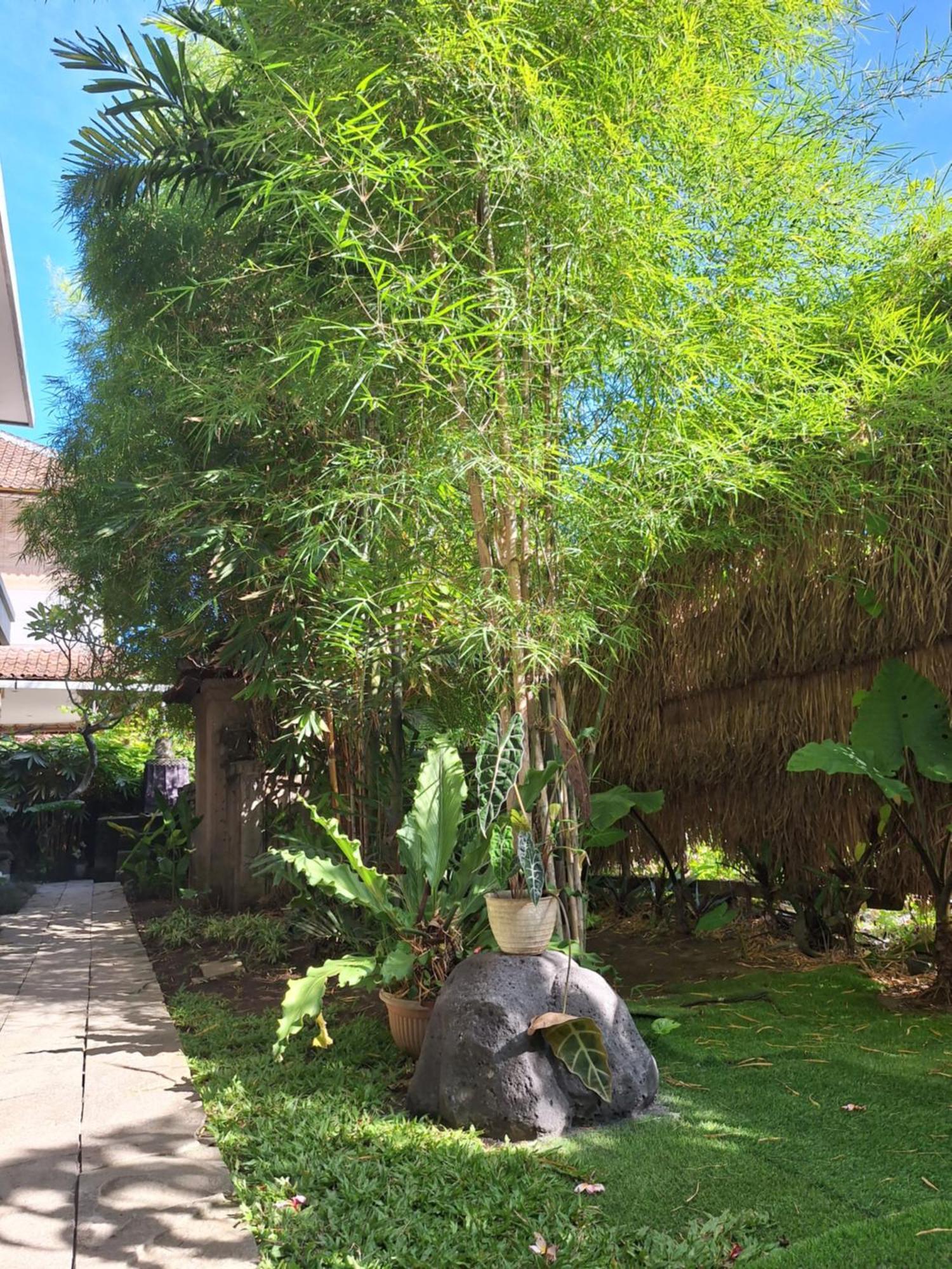 Kasapa Inn Ubud Eksteriør billede