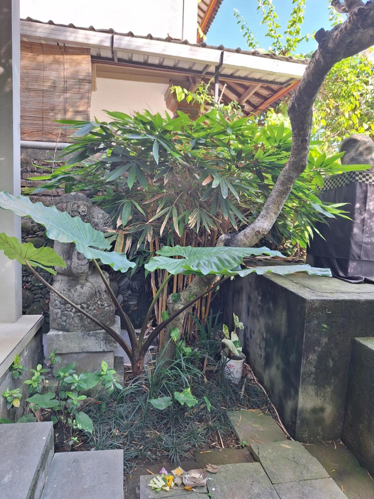 Kasapa Inn Ubud Eksteriør billede