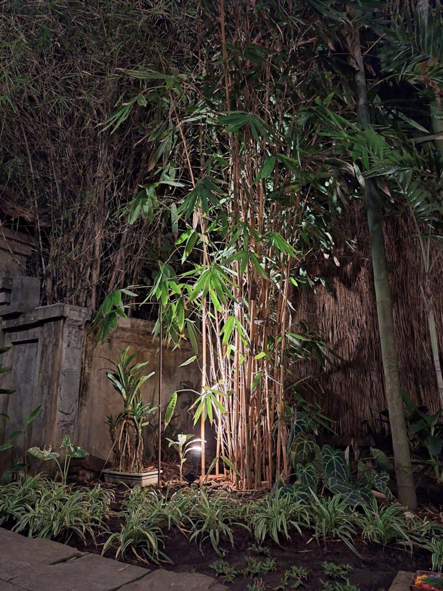 Kasapa Inn Ubud Eksteriør billede